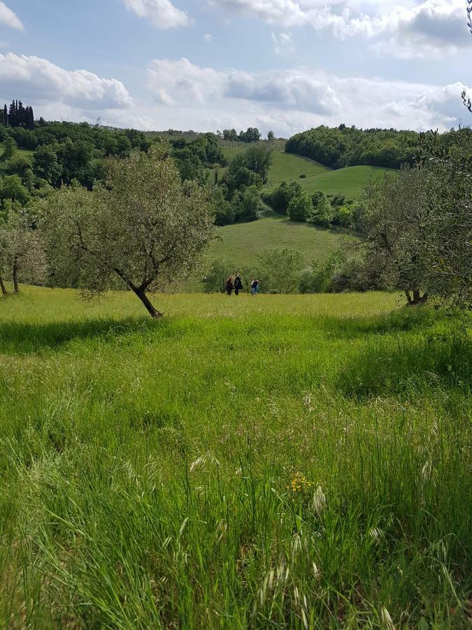 Tavarnelle Val di Pesa 拉罗卡奇安蒂旅馆酒店 外观 照片